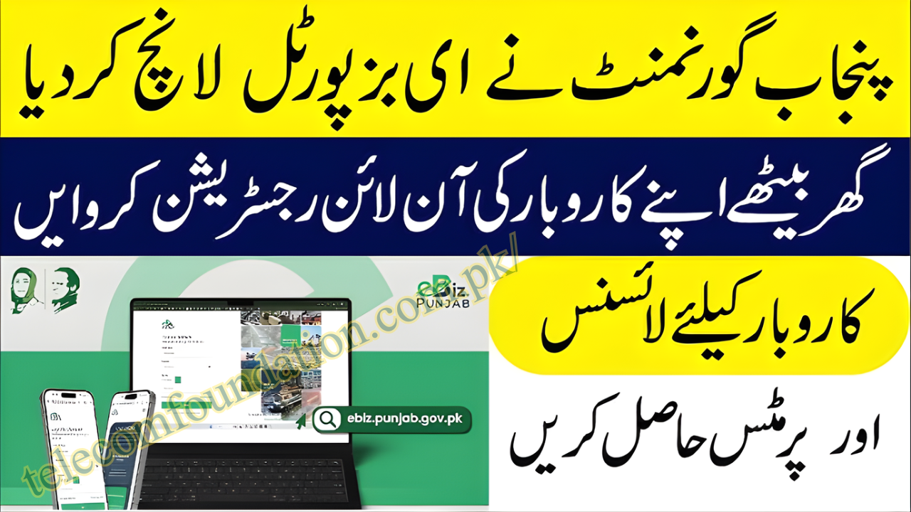 eBiz Punjab Online Business