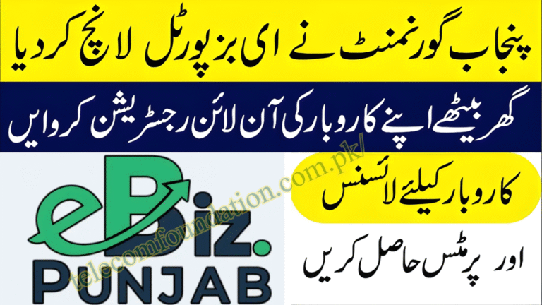 Sole Proprietorship in eBiz Punjab