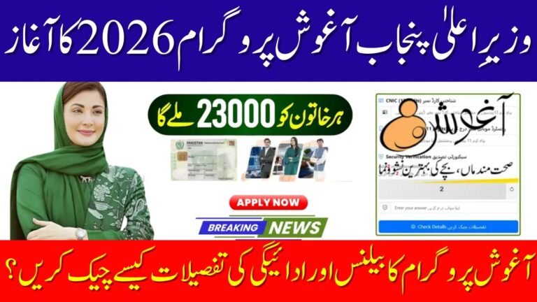 Punjab Aghosh Program Online CNIC Check