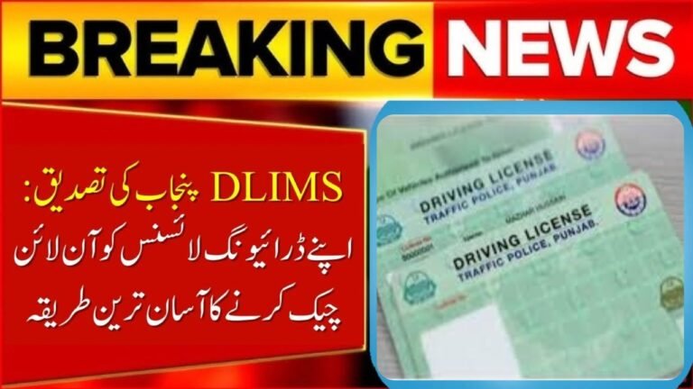 How To Verify Driving License Using DLIMS Punjab 2026