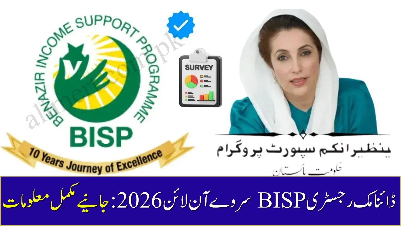 Dynamic Registry BISP Survey Online